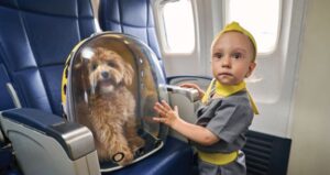 Kid with her pet in aeroplane