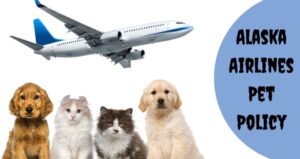 Alaska Airlines Pet Policy